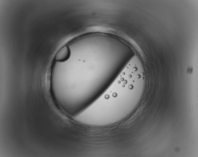 X0000103401323200809120915