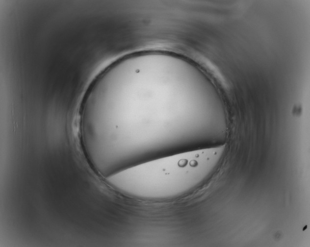 X0000103401324200809120915