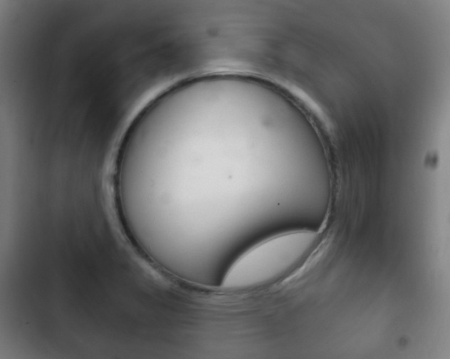 X0000103401325200809120915