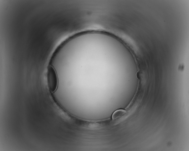 X0000103401326200809120915