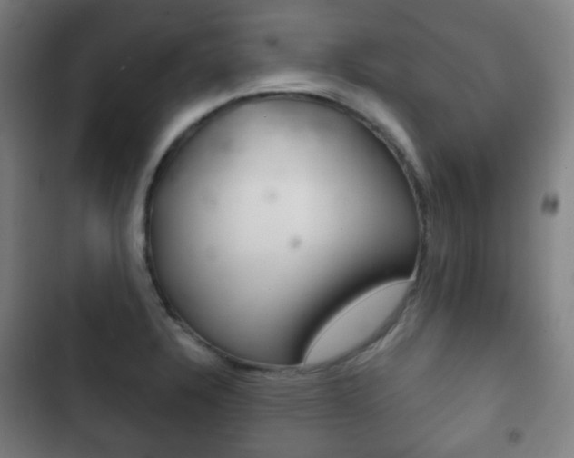 X0000103401328200809120915