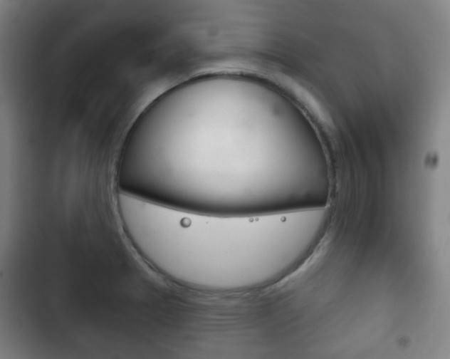 X0000103401329200809120915