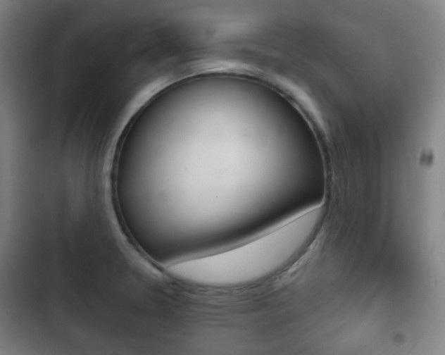 X0000103401330200809120915