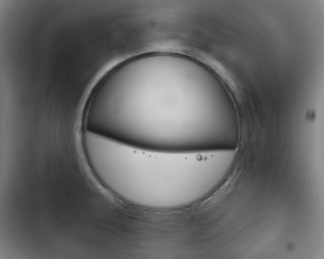 X0000103401331200809120915