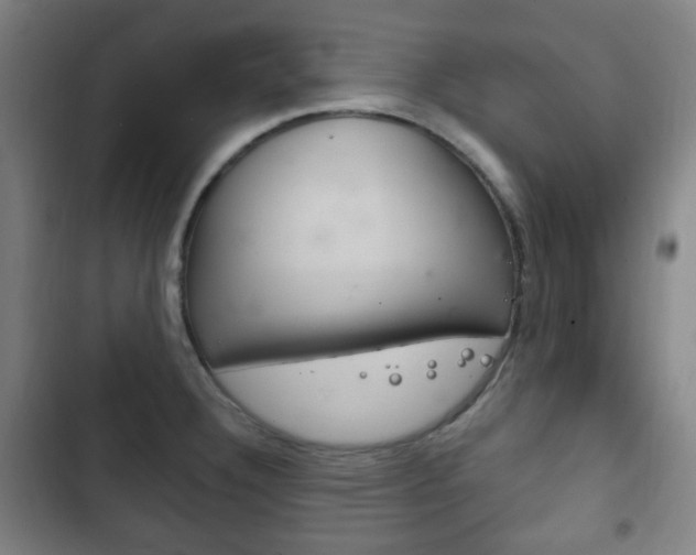 X0000103401332200809120915