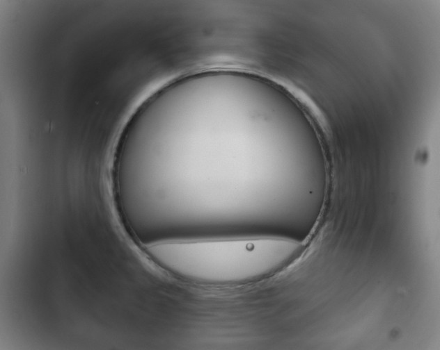 X0000103401333200809120915