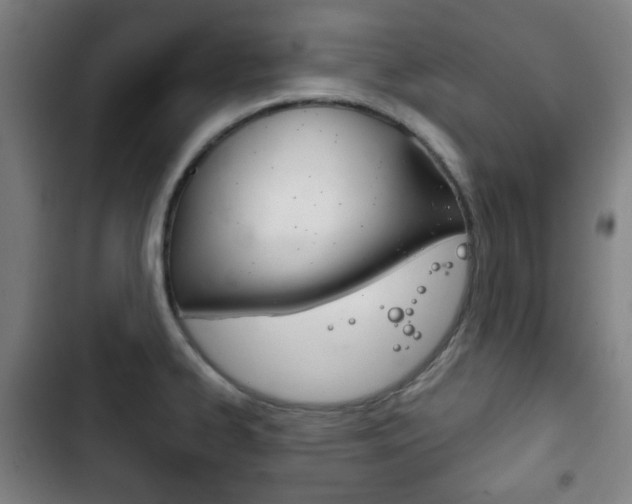 X0000103401334200809120915
