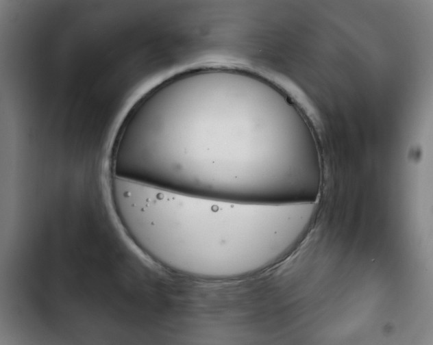 X0000103401335200809120915