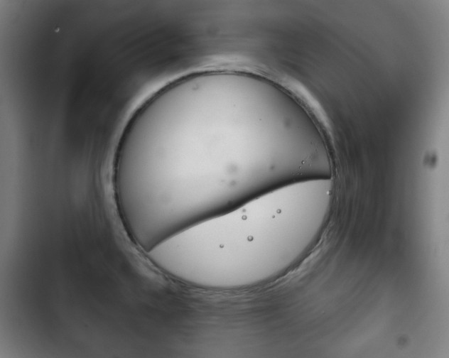 X0000103401336200809120915