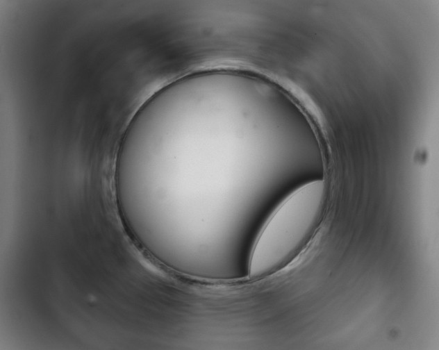 X0000103401337200809120915