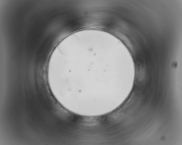 X0000103401338200809120915