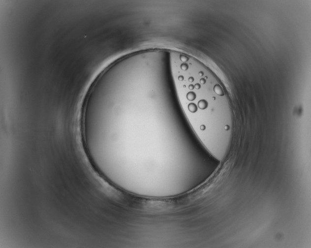 X0000103401339200809120915