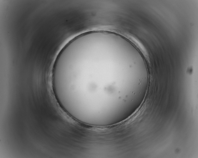 X0000103401340200809120915