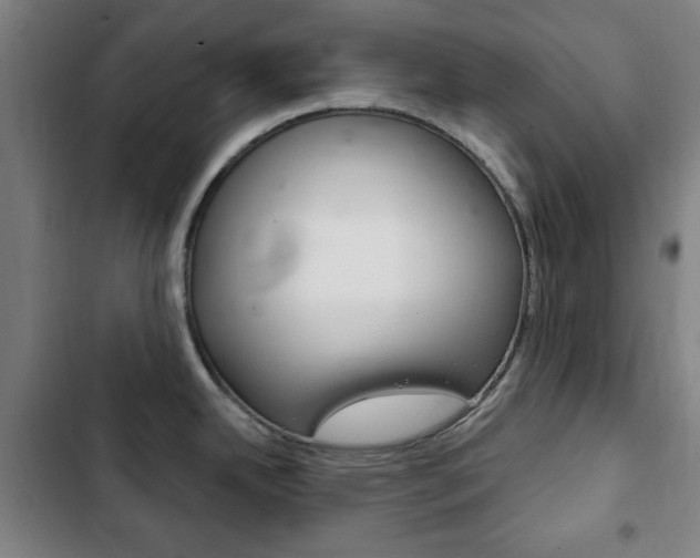 X0000103401342200809120915