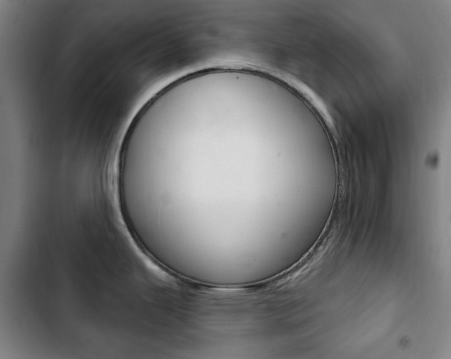 X0000103401343200809120915