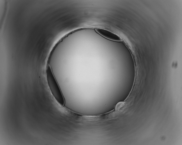 X0000103401344200809120915