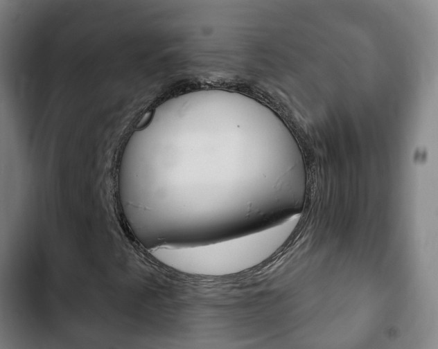 X0000103401345200809120914