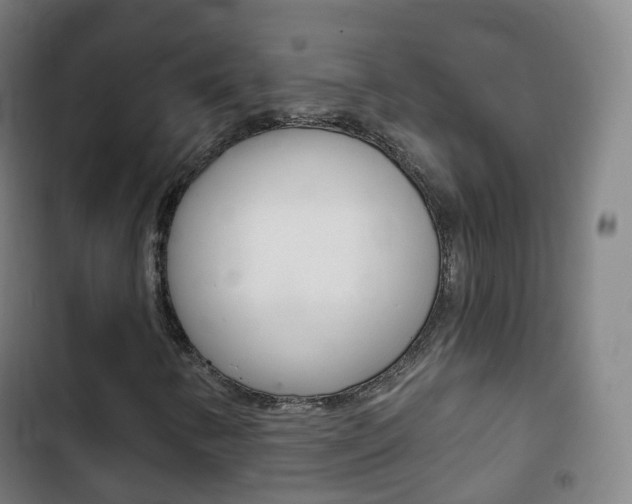 X0000103401346200809120914