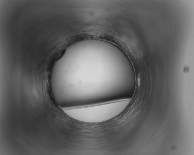 X0000103401347200809120914