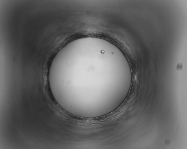 X0000103401348200809120914