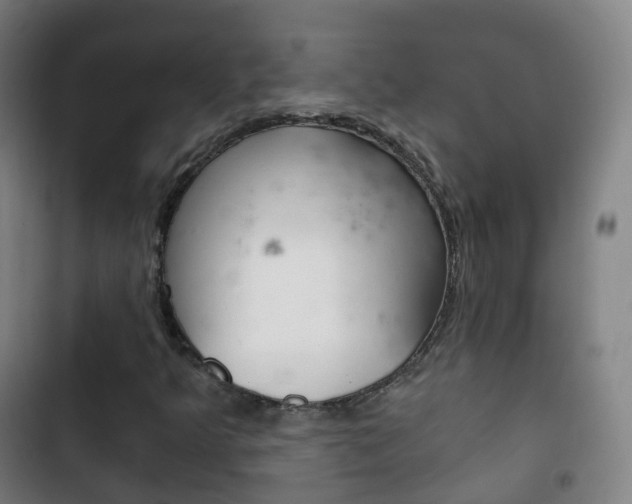 X0000103401349200809120914