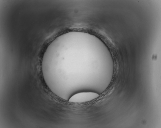 X0000103401350200809120914