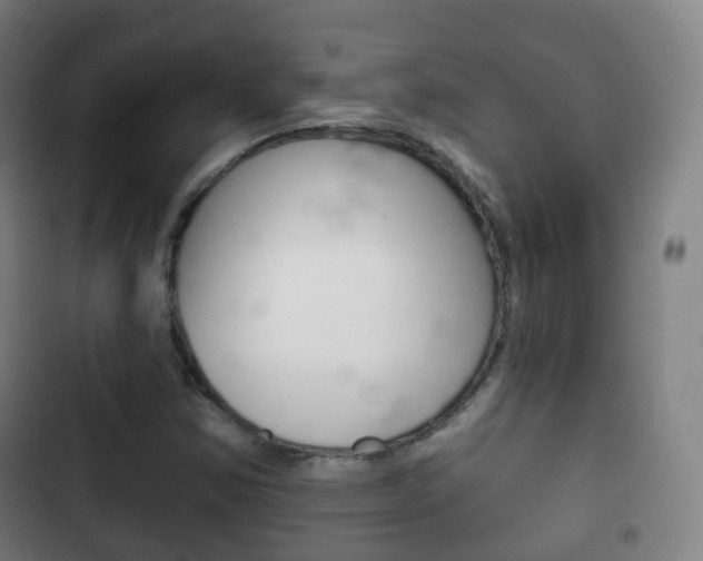 X0000103401354200809120914