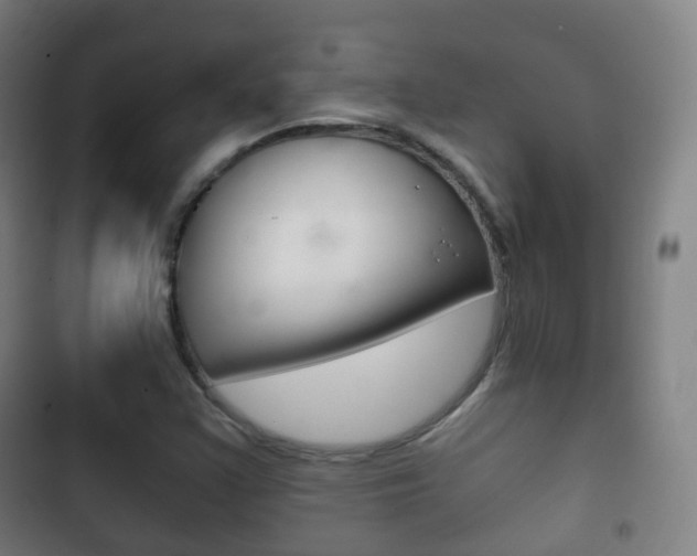 X0000103401355200809120914