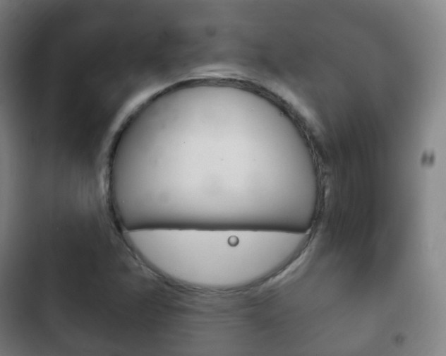 X0000103401358200809120914
