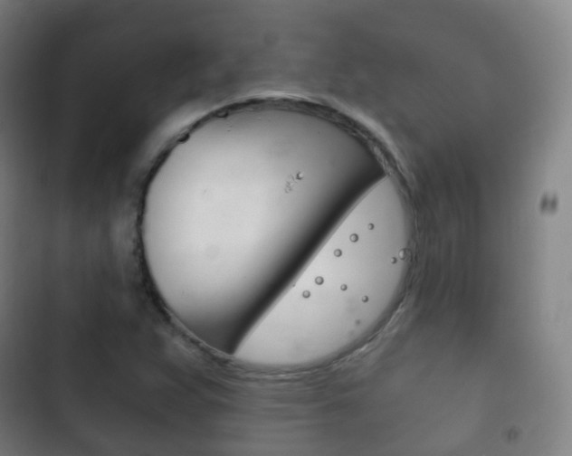 X0000103401359200809120914