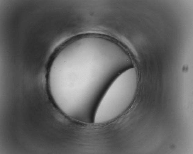 X0000103401360200809120914