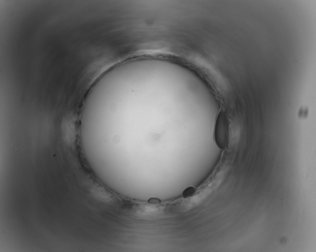 X0000103401361200809120914