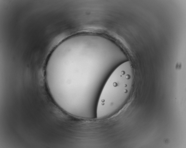 X0000103401362200809120914