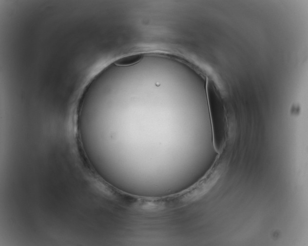 X0000103401365200809120914