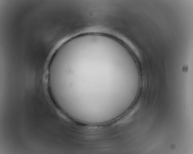 X0000103401366200809120914