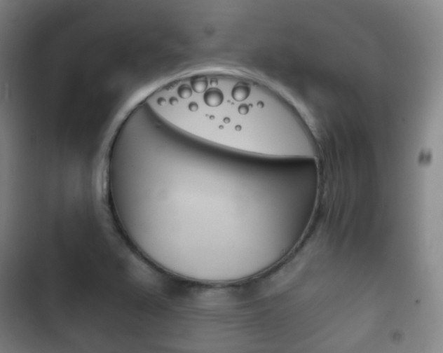 X0000103401367200809120914