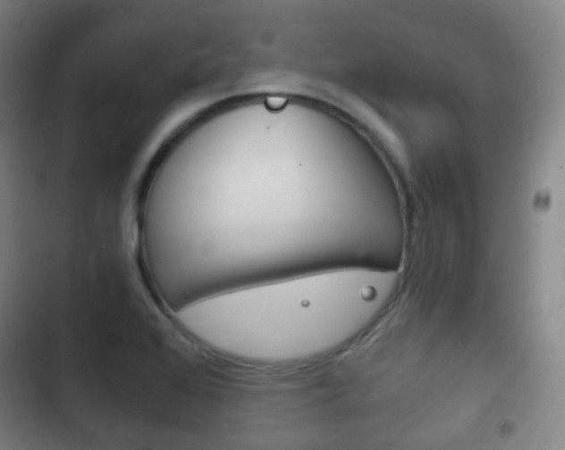 X0000103401368200809120914