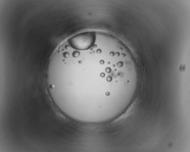 X0000103401369200809120914