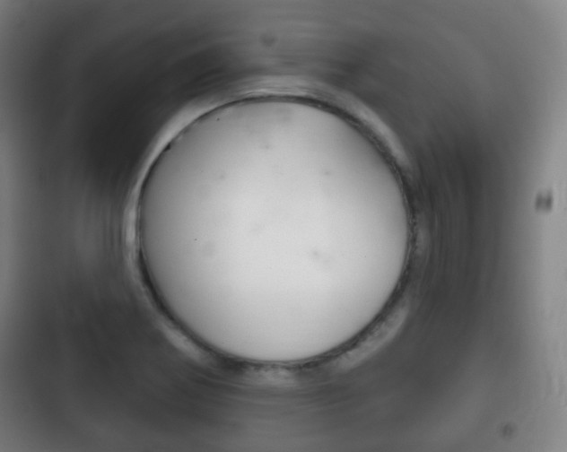 X0000103401370200809120914