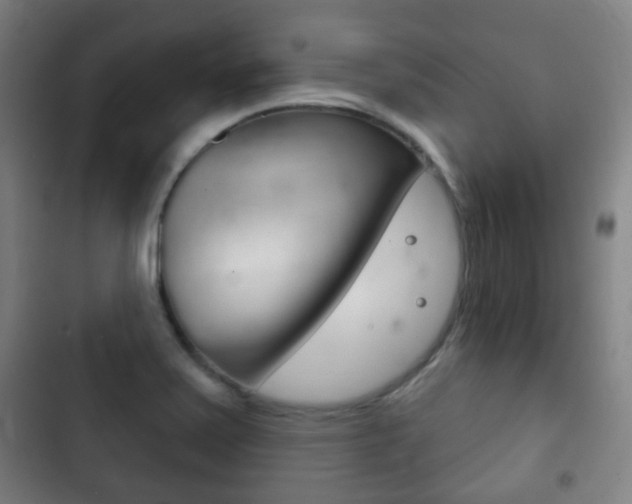 X0000103401371200809120914