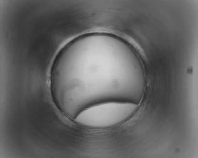 X0000103401372200809120914