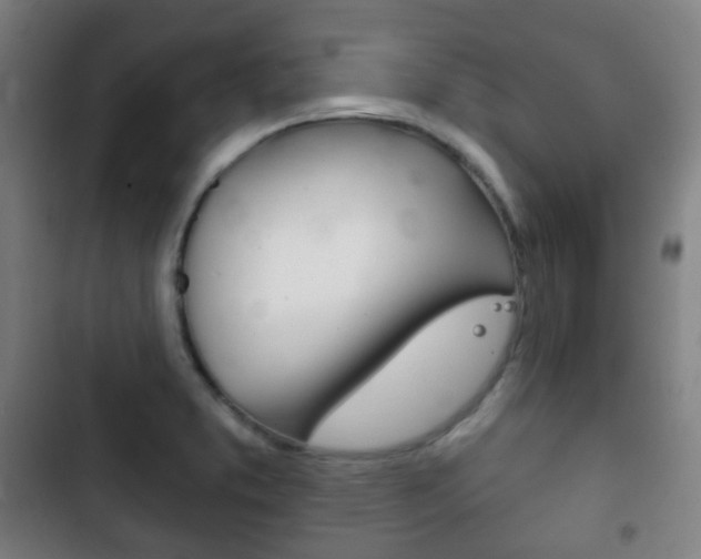 X0000103401373200809120914