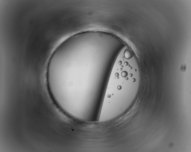 X0000103401375200809120914