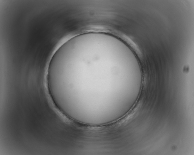 X0000103401378200809120914