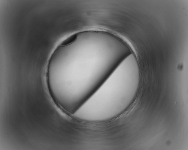X0000103401379200809120914