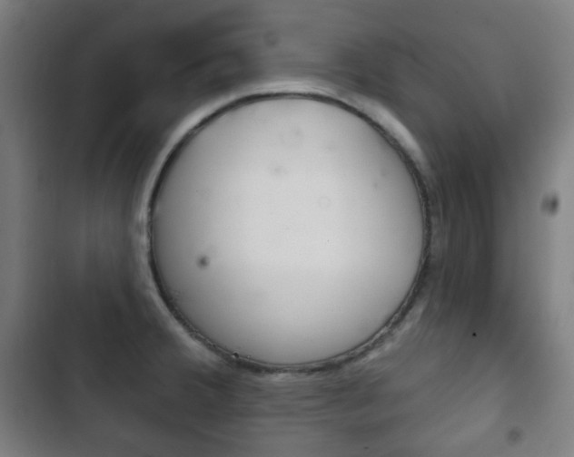 X0000103401380200809120914