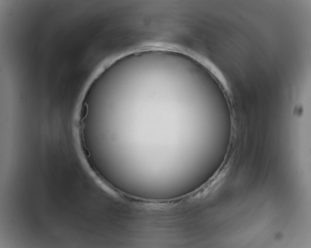X0000103401381200809120914