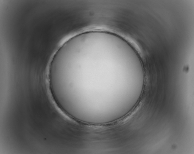 X0000103401382200809120914