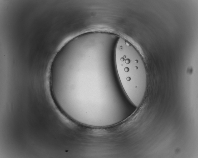 X0000103401383200809120913