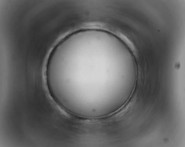 X0000103401384200809120913
